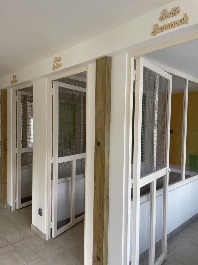 Allée des suites de l'hôtel félin à 18 min d'Hénin et Carvin