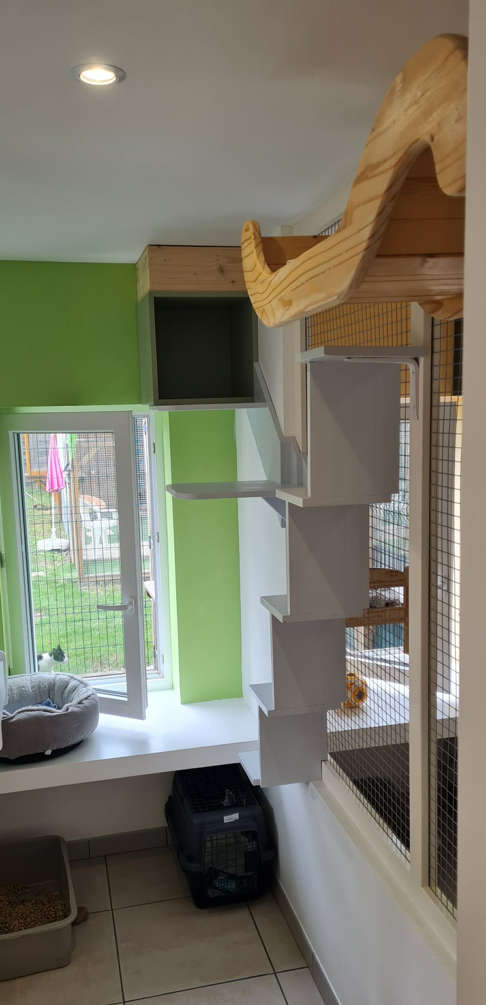 Chambre avec passerelles et vue extérieure pour chat des Weppes