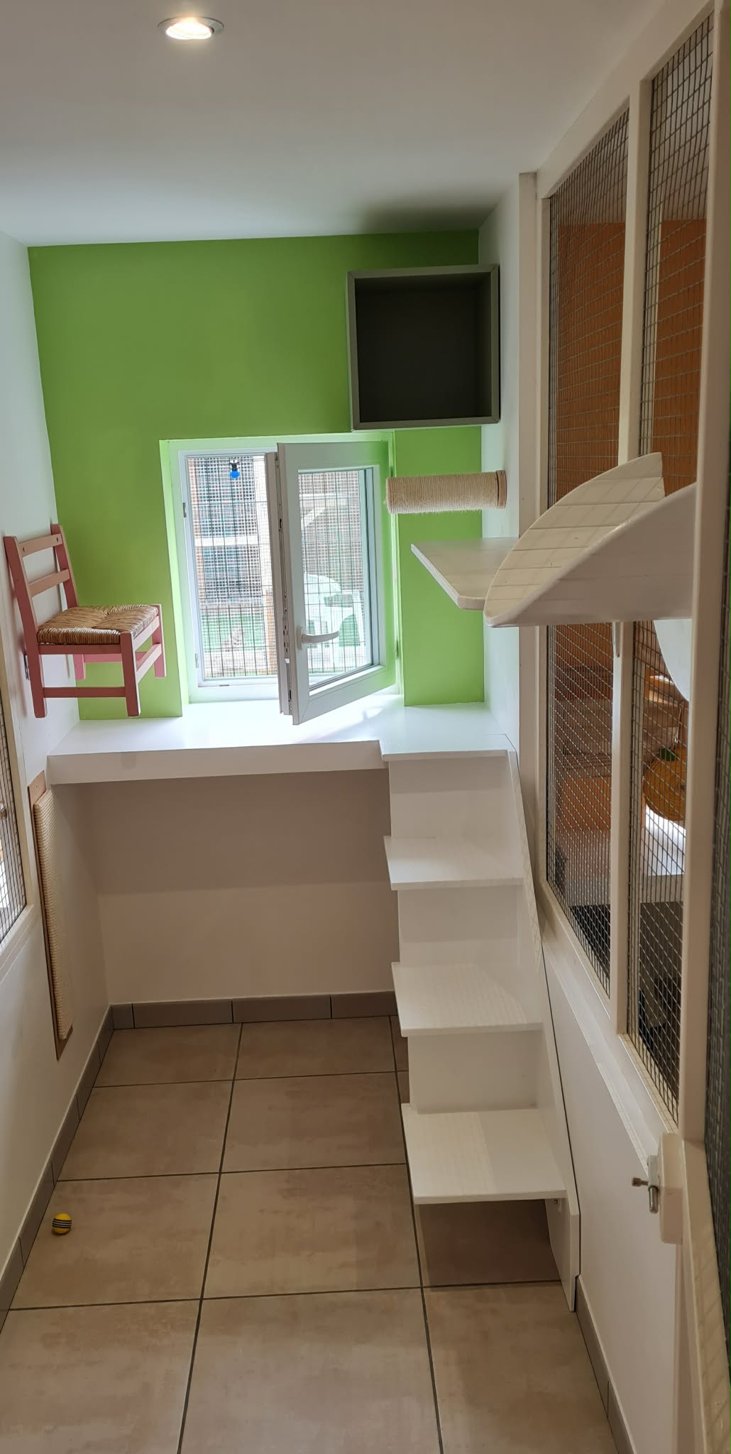 Chambre avec chatière et jardinet extérieur sécurisé pour chat