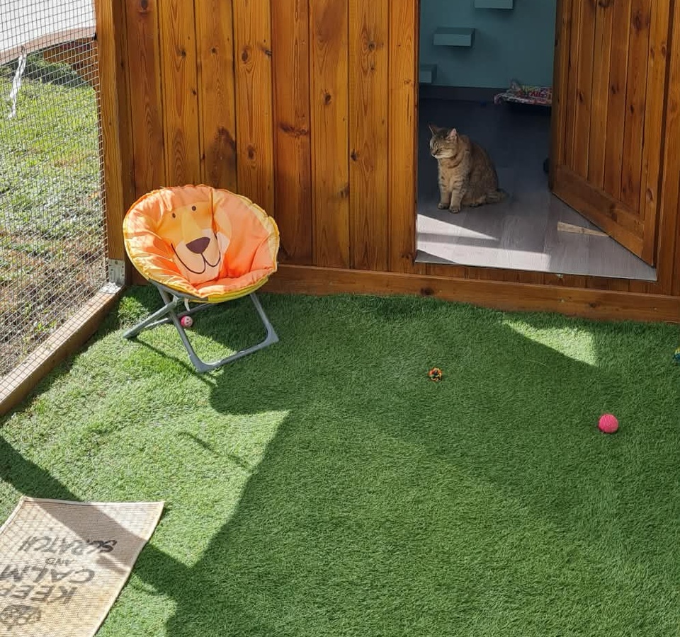 Maisonnettes d'été chalet en bois avec jardinet privatif