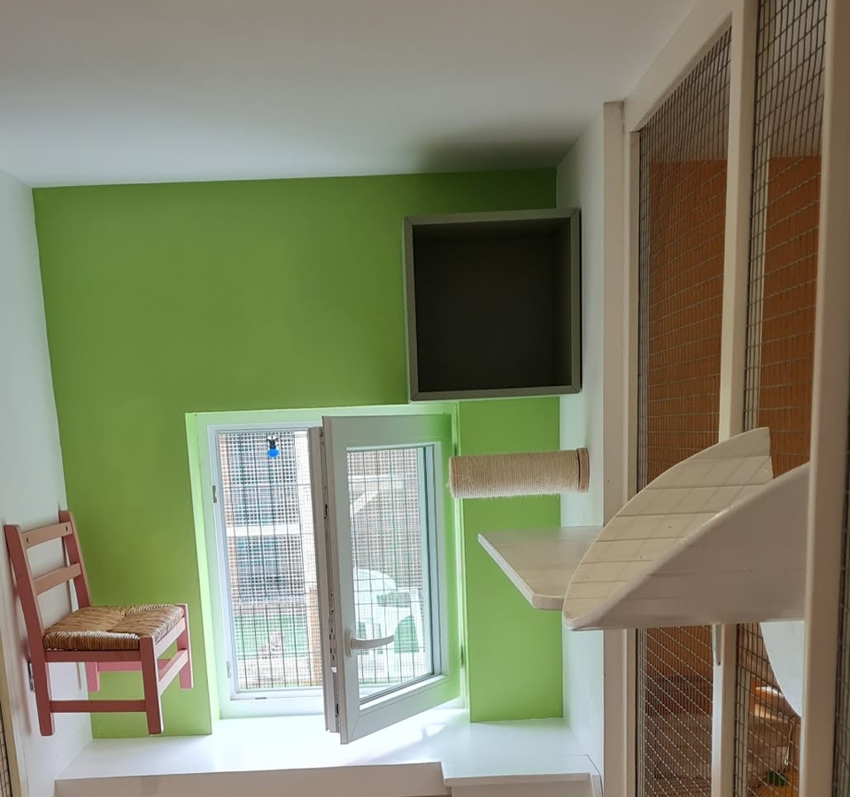 Vue d'ensemble de la chambre avec passerelles et fenêtre ouverte sur jardinet