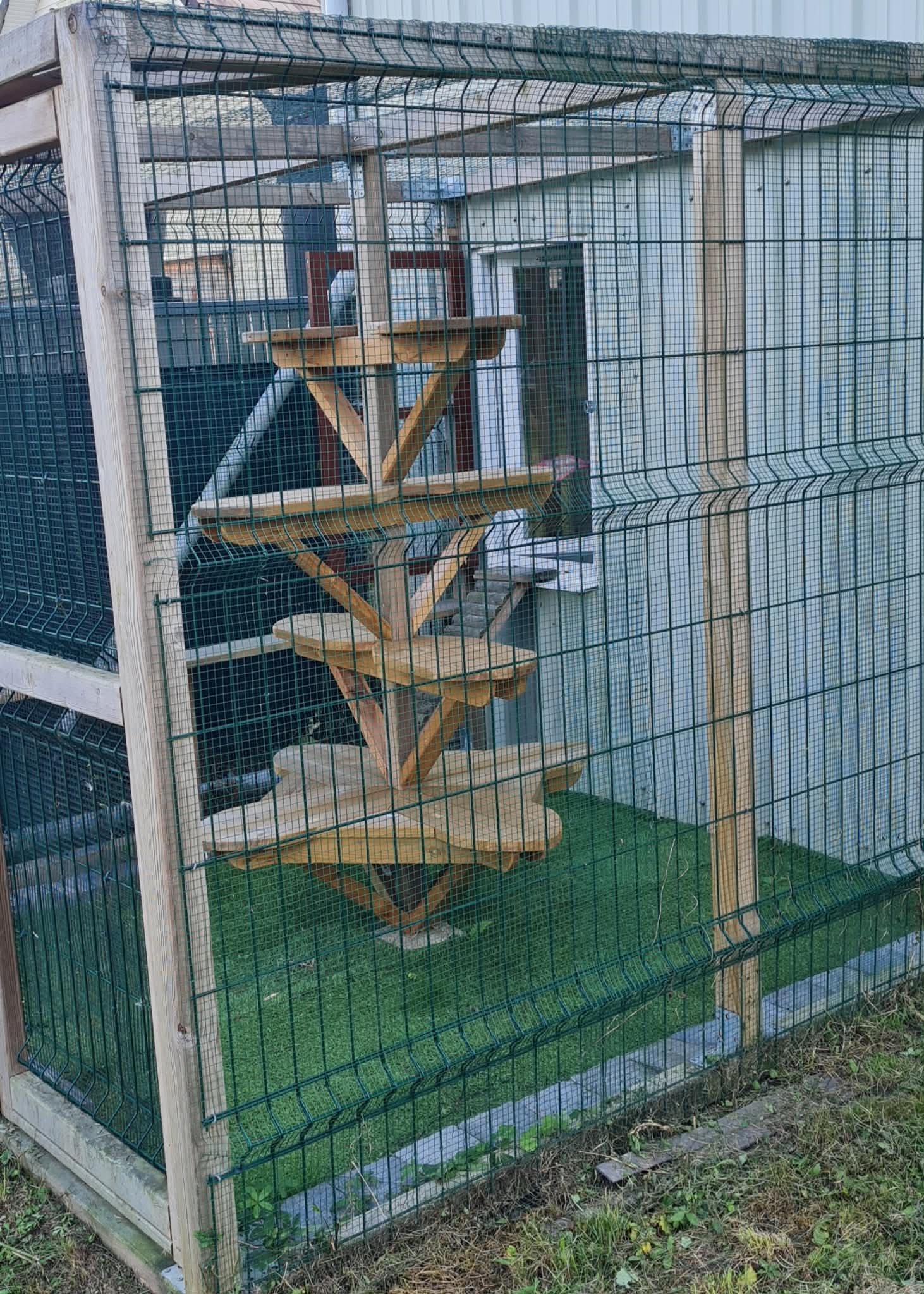 Arbre à chat en bois massif dans le jardinet extérieur sécurisé