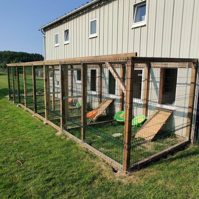 Jardinets extérieurs individuels sécurisés pour chat d'Arras
