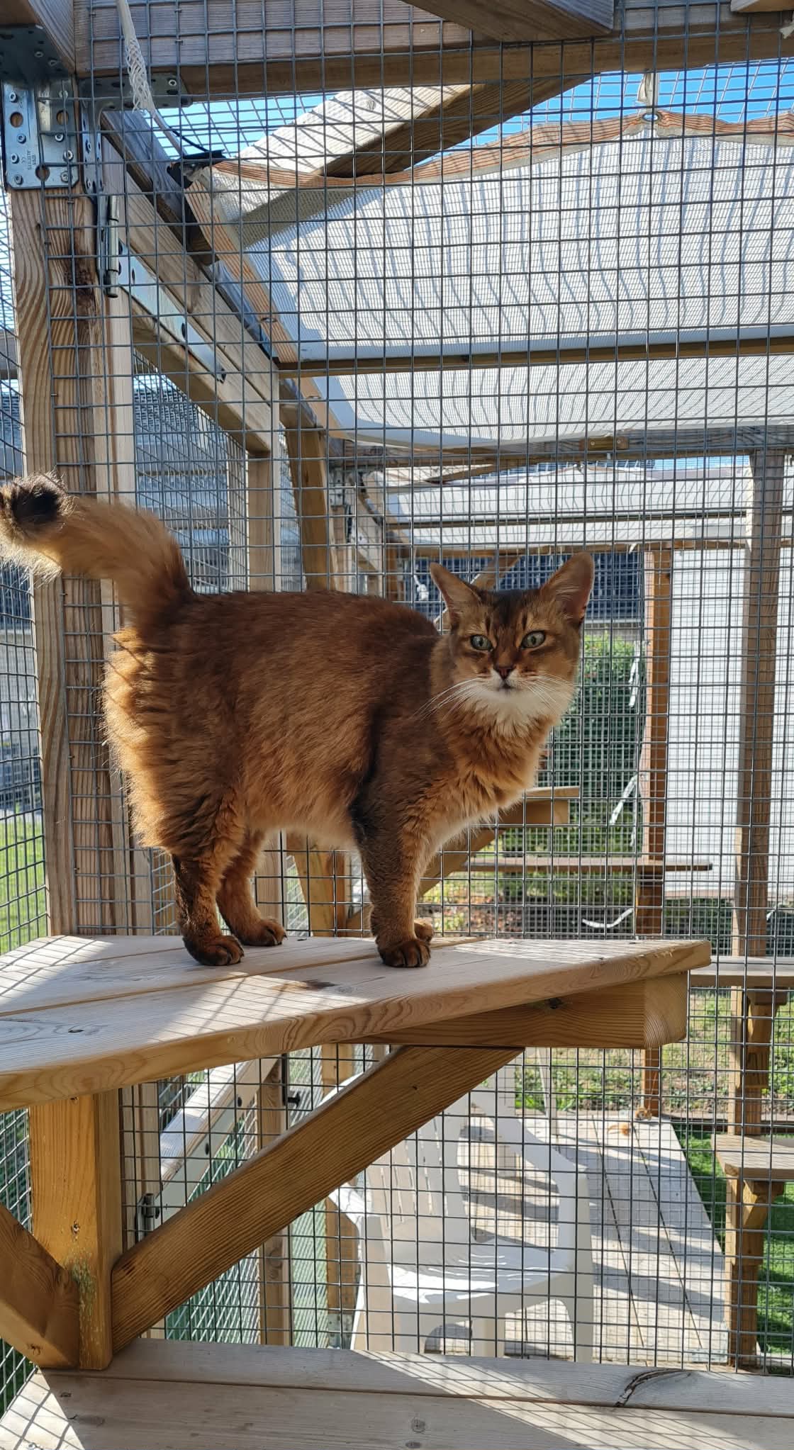 Pensionnaire sur la terrasse de sa maisonnette d'été