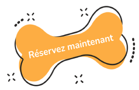 https://enfelinecompagnie.fr/storage/2023/02/test1-1.png